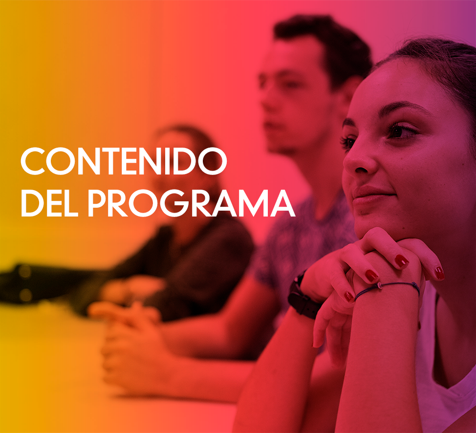 Bachelor - Contenido del programa