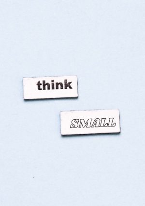 micronichos-think-small